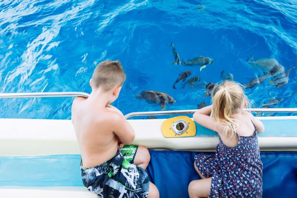 Observation des poissons depuis le catamaran, Tourism Seychelles Torstenn Dickmann