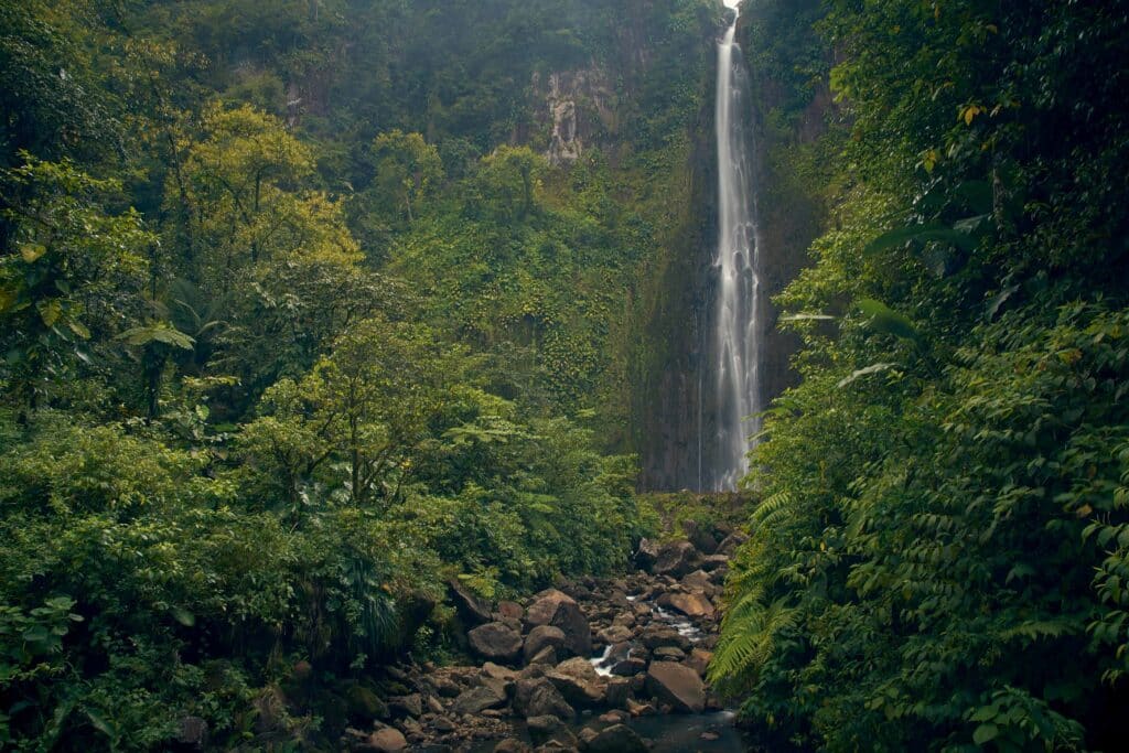 Baie Mahault, Basse Terre, Guadeloupe, Antilles, Caraïbes