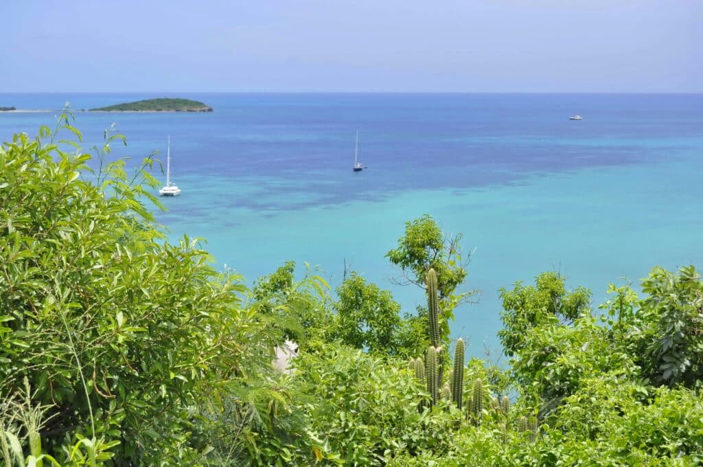 Côte De L'île De Saint Martin