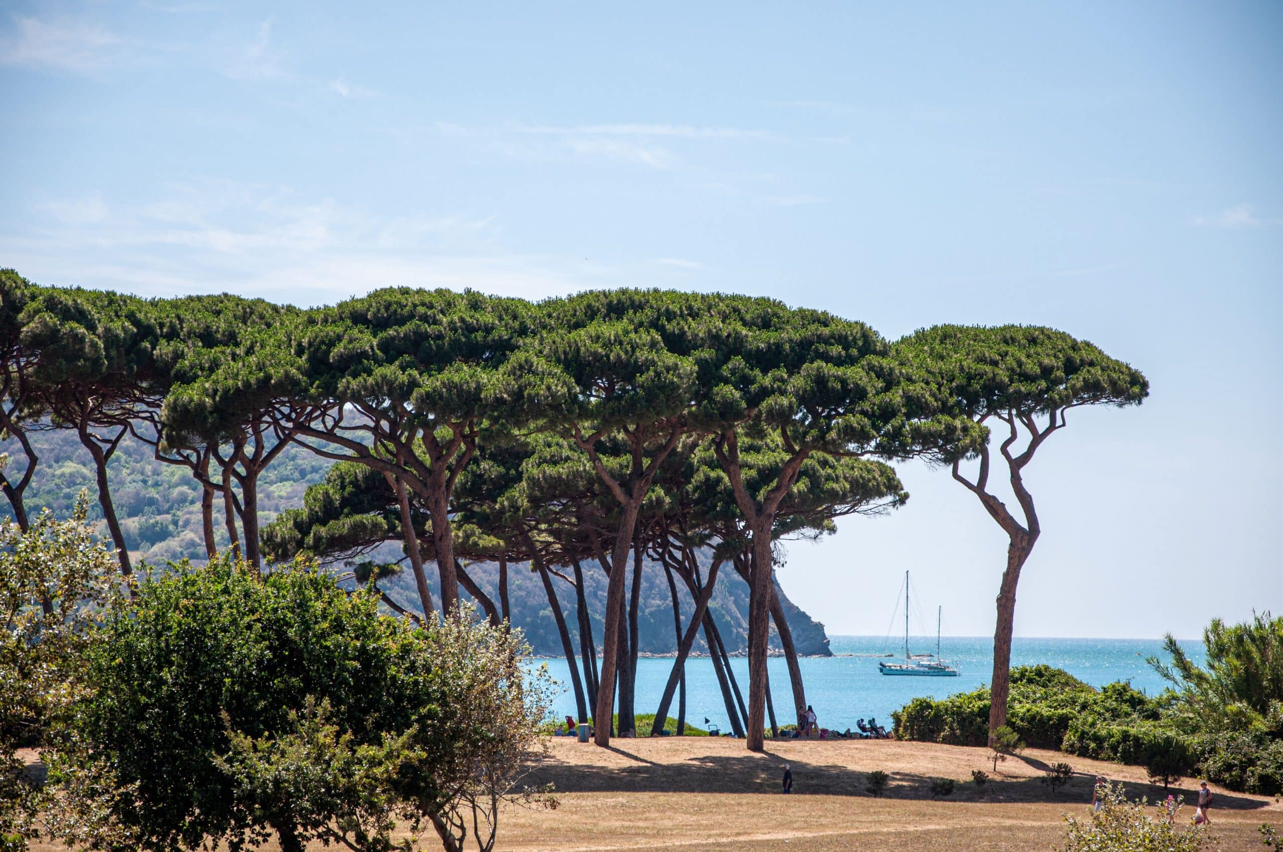 Gofe de Baratti, Toscane, Italie - Ralf Rosenschild Wirestock Creators -