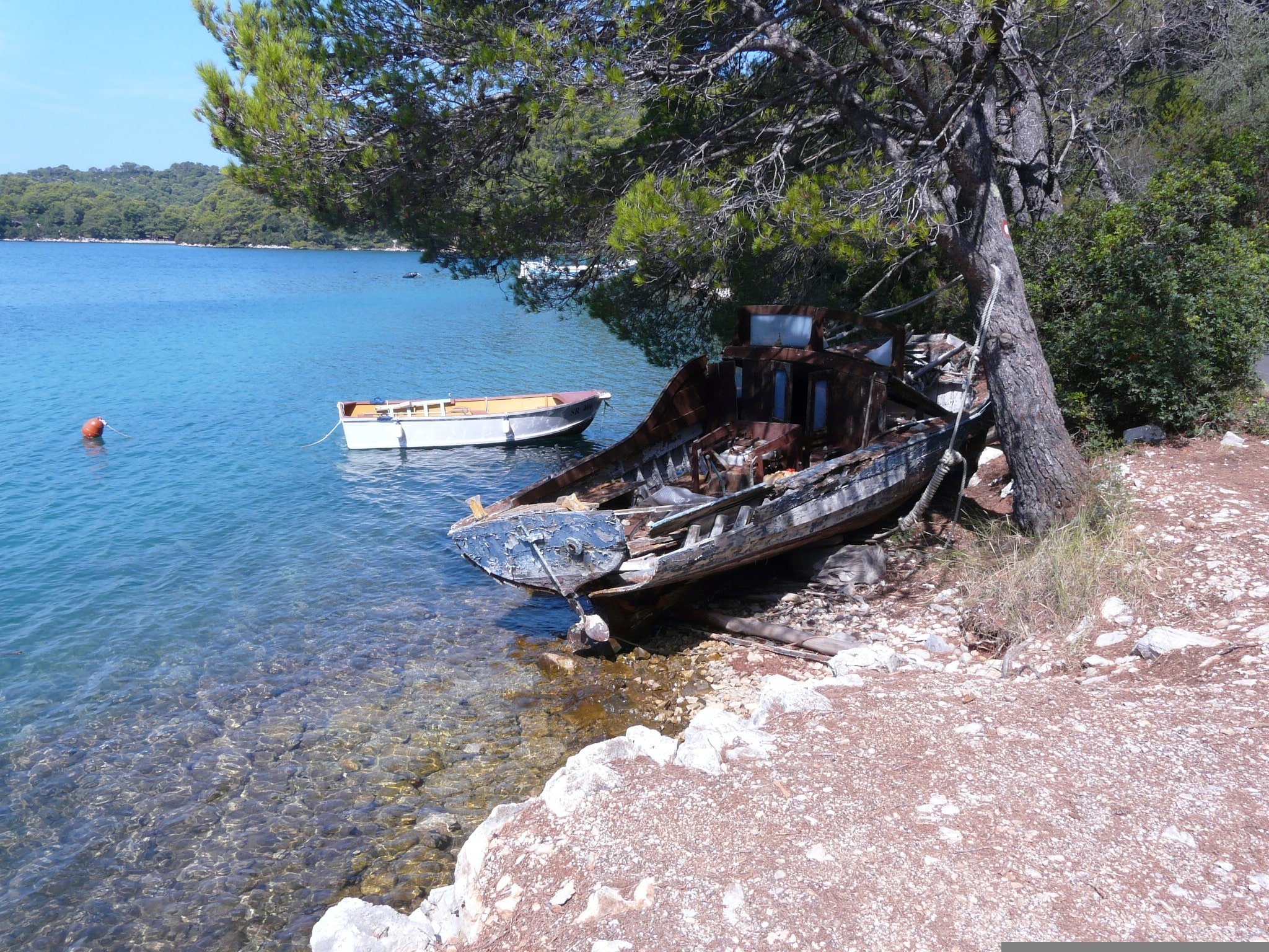 Ile De Mljet, Croatie