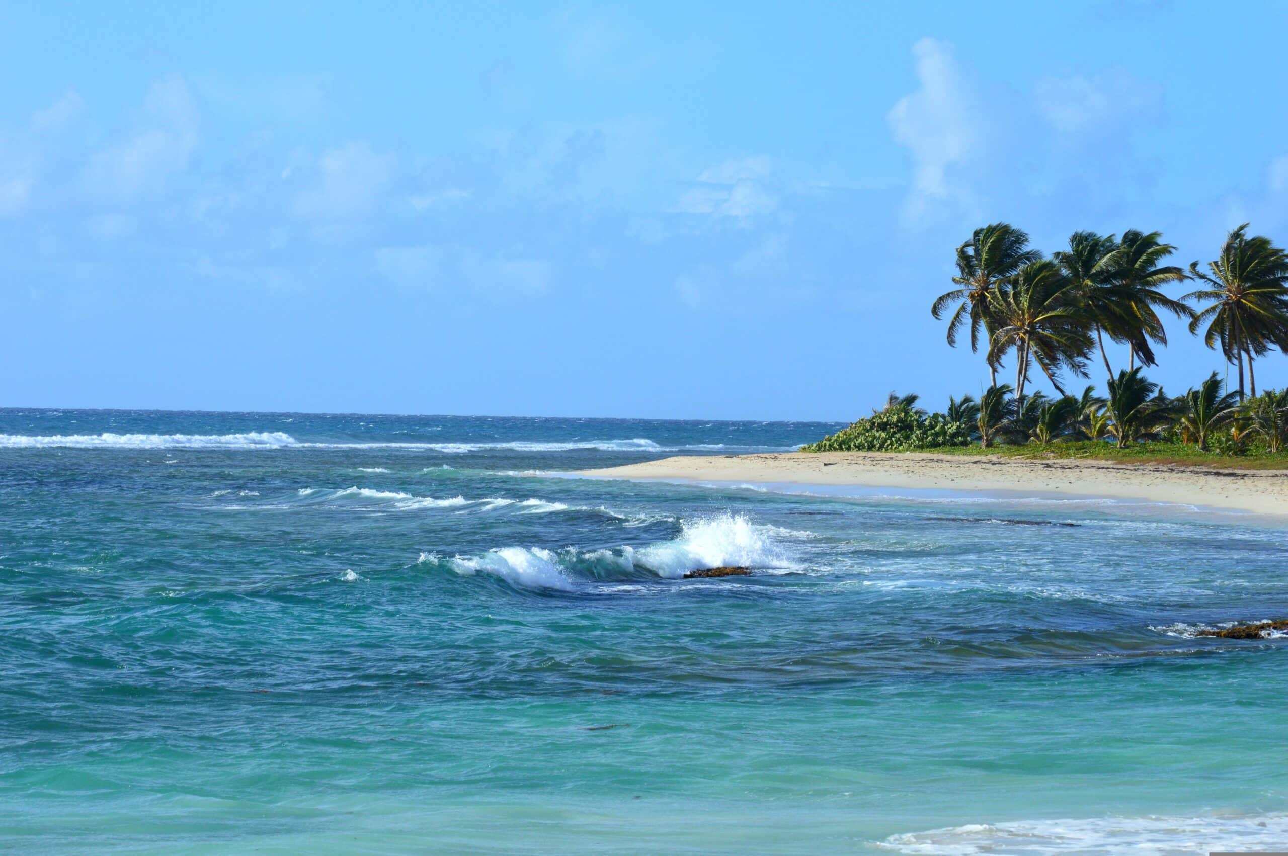 Les Alizées Qui Soufflent, Guadeloupe, Antilles, Caraïbes