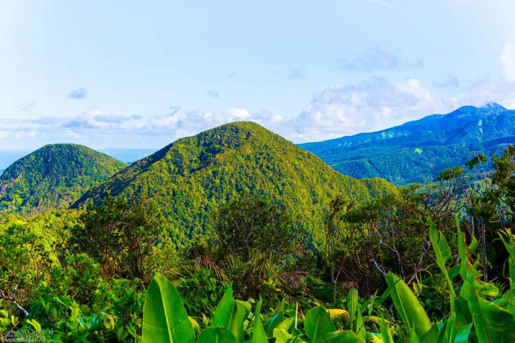 Montagnes De Guadeloupe, Antilles, Caraïbes