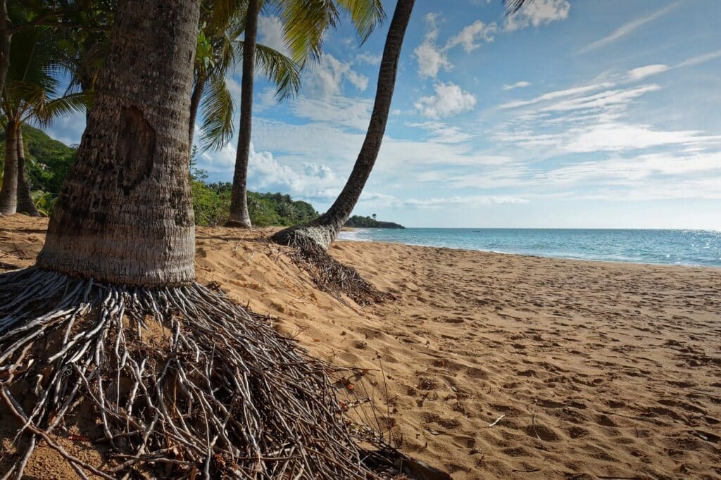 Plage De Guadeloupe, Antilles, Caraïbes