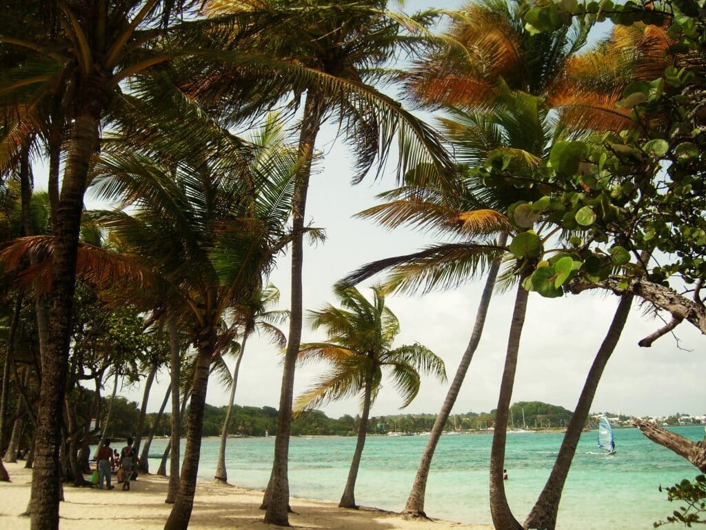 Plage De Guadeloupe Et Planche à Voile, Antilles, Caraïbes