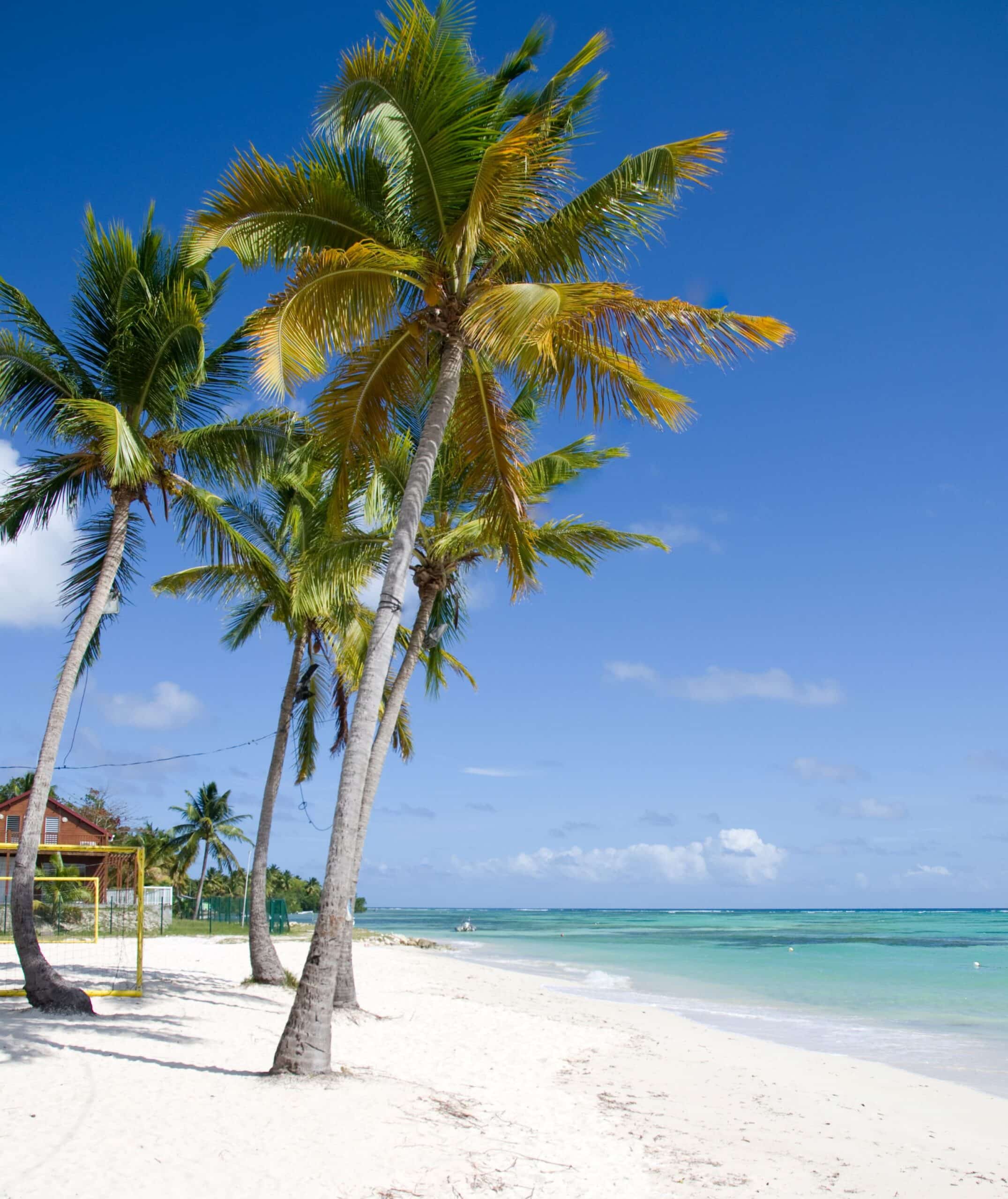 Grand Bourg Marie Galante, Guadeloupe, Antilles, Caraïbes