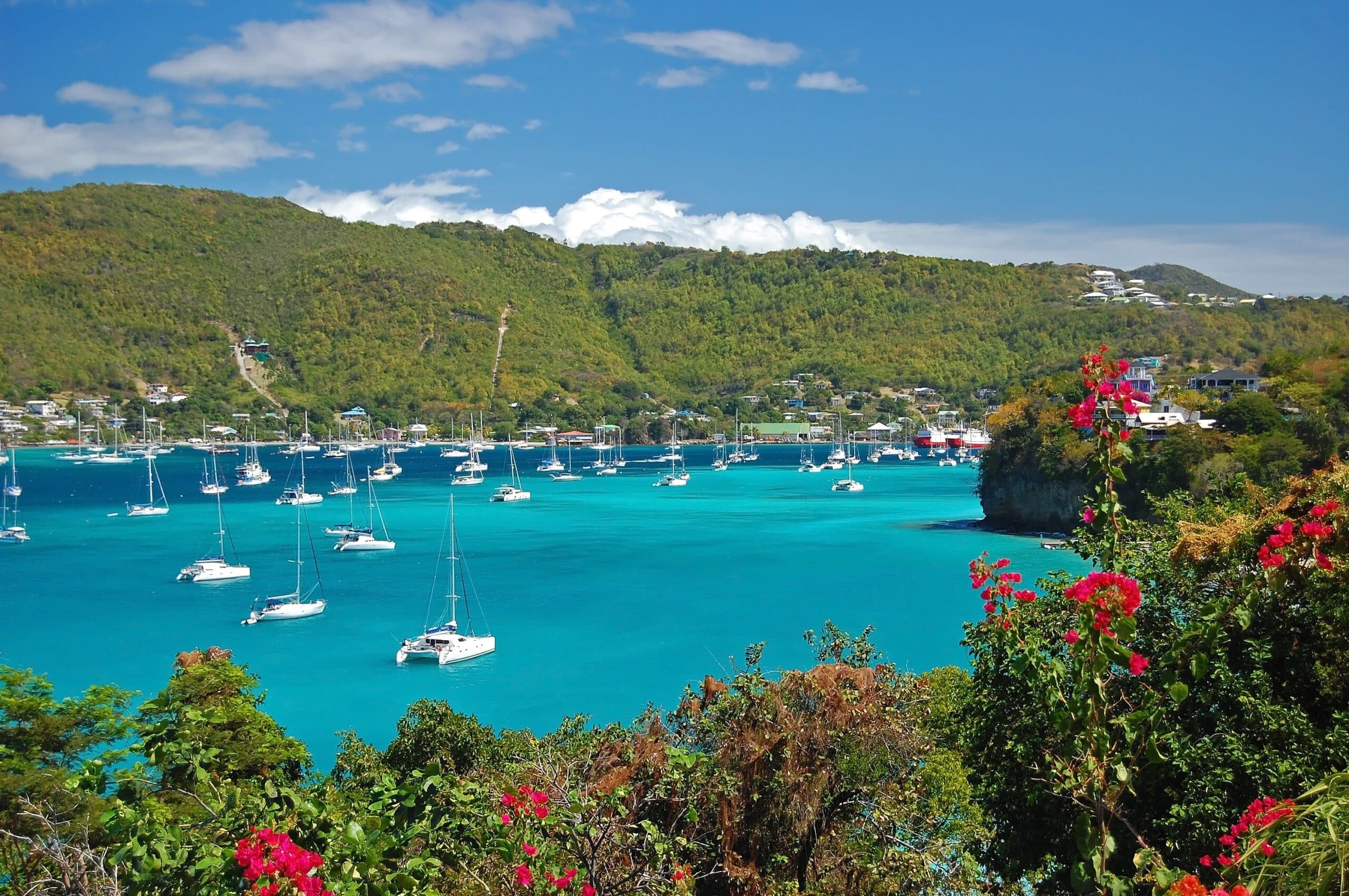 Croisière catamaran aux Antilles