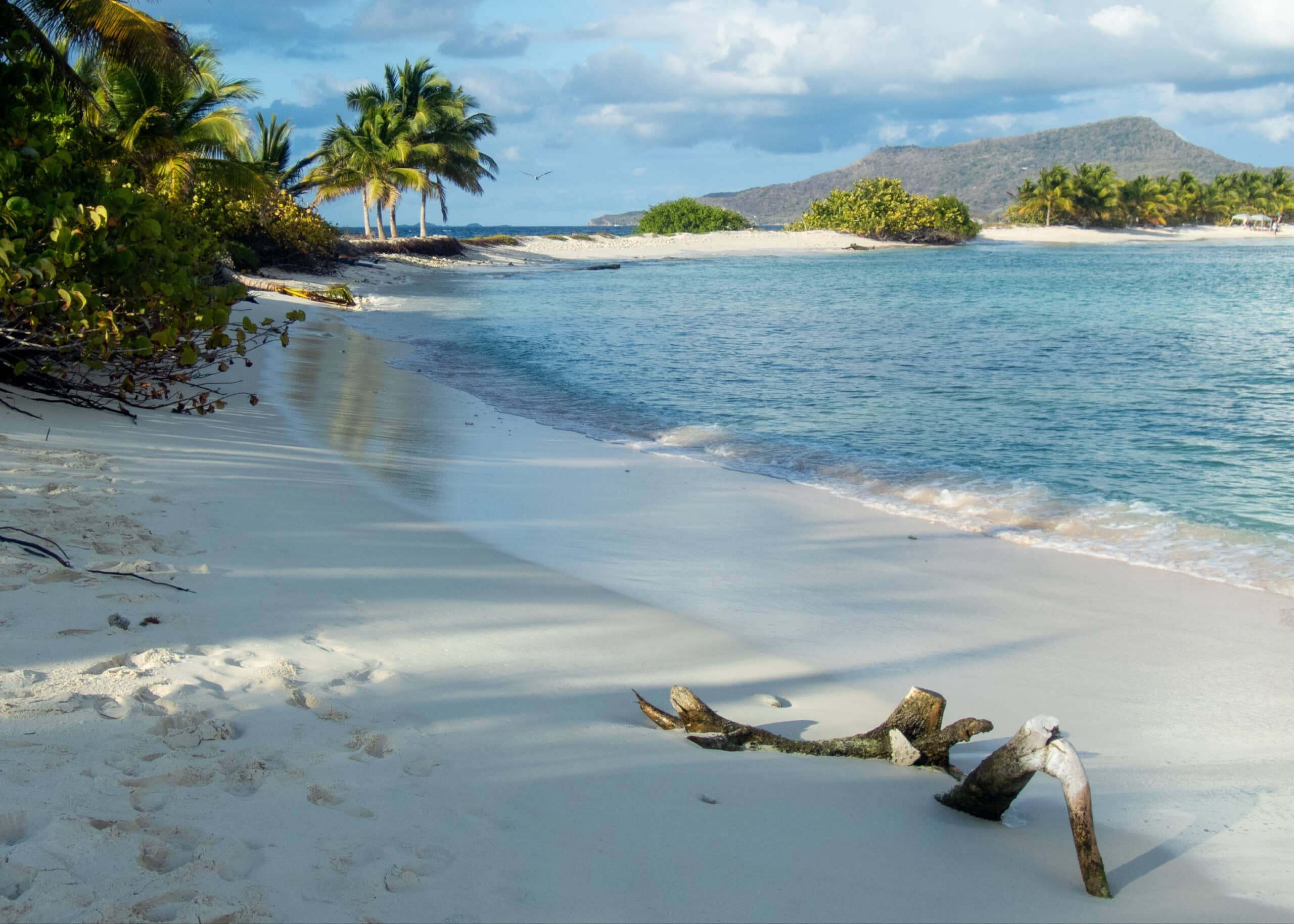 Plage De Sandy Island