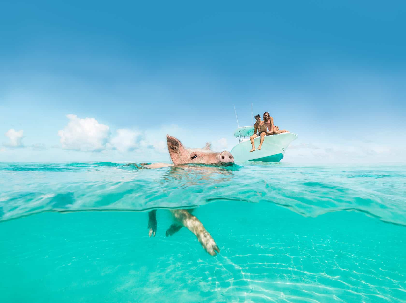 Pig beach, Les Exumas, Bahamas